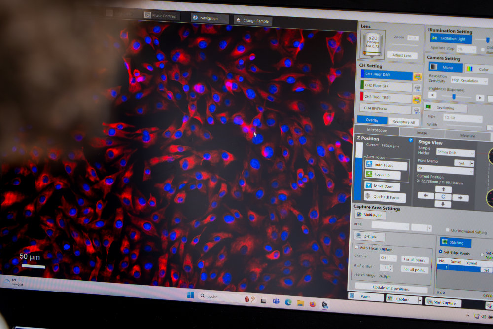 prod teaser primaerzellen